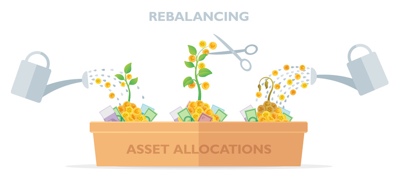 asset allocations rebalancing flower pot